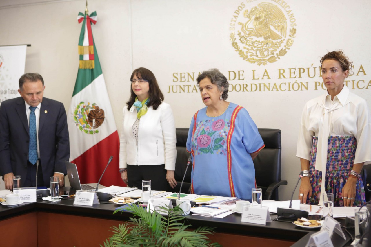 Alvarez Buylla en Senado